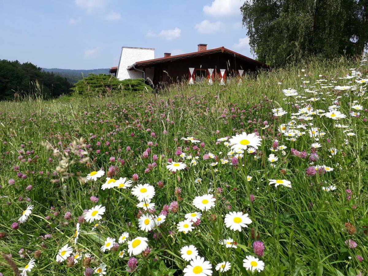 Stadtprozelten Ellernhof Im Spessartヴィラ エクステリア 写真