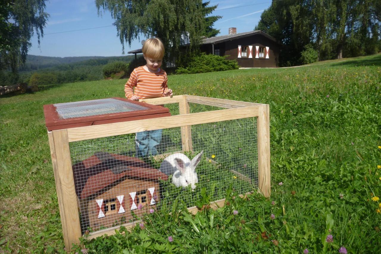 Stadtprozelten Ellernhof Im Spessartヴィラ 部屋 写真